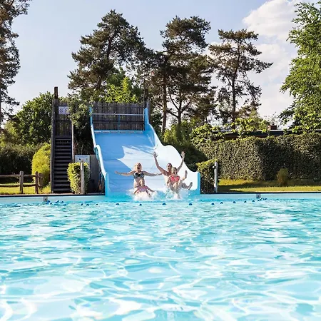 Chalet Chalet Located At The Playground In Veluwe Garderen