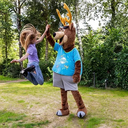 Chalet Located At The Playground In Veluwe *
