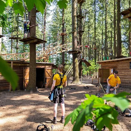 Chalet Located At The Playground In Veluwe Chalet *