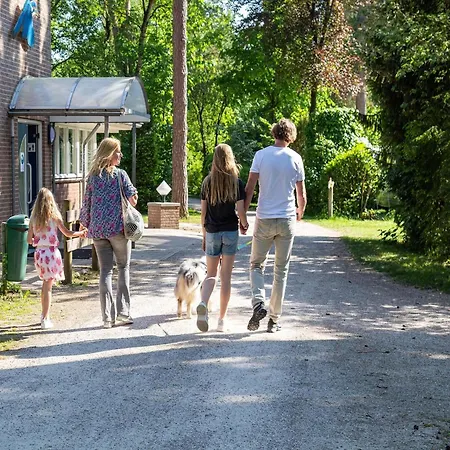 Chalet Located At The Playground In Veluwe Chalet Garderen