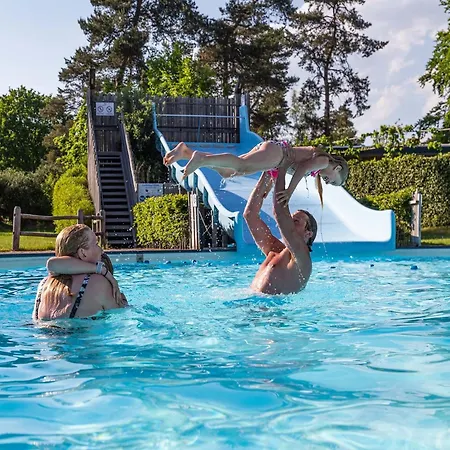 Chalet Located At The Playground In Veluwe *
